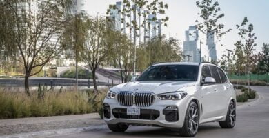 Diagramas Eléctricos BMW Serie X5 2019 - Bandas de Tiempo y Distribución