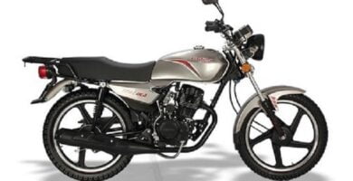 Manual Moto ITALIKA DT125 DELIVERY de Usuario Descarga en PDF GRATIS