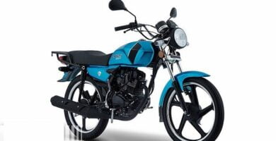 Manual Moto ITALIKA DT125 SPORT de Usuario Descarga en PDF GRATIS