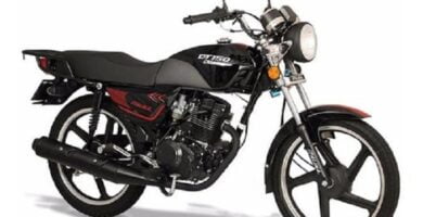 Manual Moto ITALIKA DT150 CLASICA de Usuario Descarga en PDF GRATIS