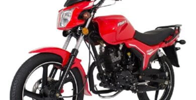 Manual Moto ITALIKA FT150 GTS de Usuario Descarga en PDF GRATIS