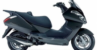 Manual Moto Aprilia Atlantic 125 de Usuario Descarga en PDF GRATIS