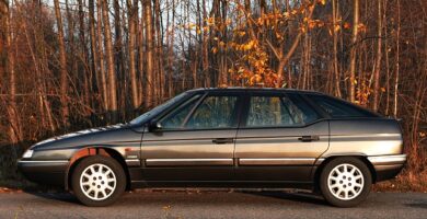 Diagramas Eléctricos Citroen XM 2002 - Bandas de Tiempo y Distribución