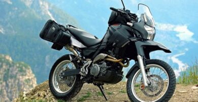 Manual Moto Aprilia Pegaso 650 2005 de Usuario Descarga en PDF GRATIS