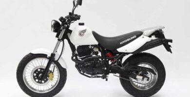 Manual Moto Hyosung Karion 125 Reparación y Servicio