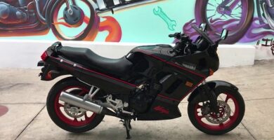 Manual Moto Kawasaki 250 F19 1989 Reparación y Servicio