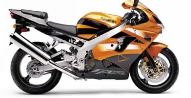 Manual Moto Kawasaki ZX 9R F1 2002 DESCARGAR GRATIS