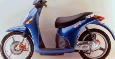 Manual Moto Malaguti Ciak 50 E1 Reparación y Servicio