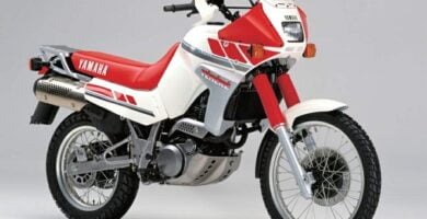 Manual Moto Yamaha 3YF 1991 Reparación y Servicio