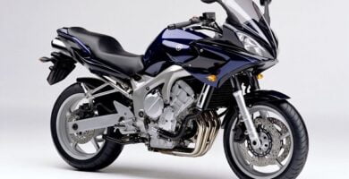 Manual Moto Yamaha FZS 600 de Usuario Descarga en PDF GRATIS