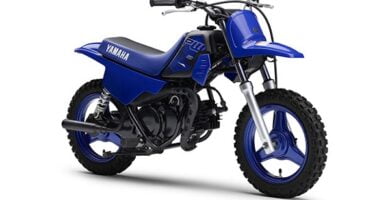 Manual Moto Yamaha PW 50 DESCARGAR GRATIS