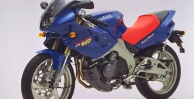 Manual Moto Yamaha SZR 660 1995 Reparación y Servicio