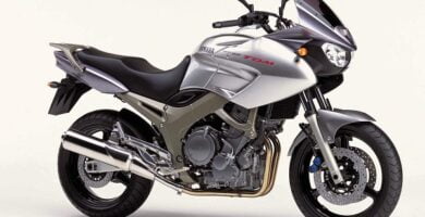 Manual Moto Yamaha TDM 900 2003 Reparación y Servicio