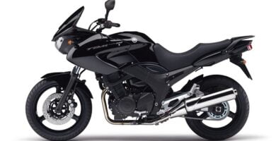 Manual Moto Yamaha TDM 900 de Usuario Descarga en PDF GRATIS