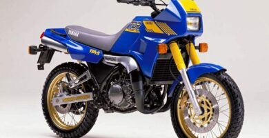 Manual Moto Yamaha TDR 250 DESCARGAR GRATIS