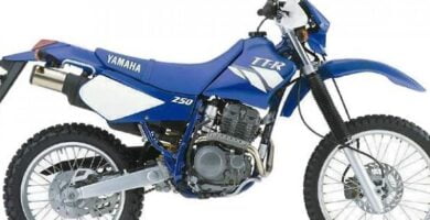 Manual Moto Yamaha TTR 250 L Reparación y Servicio