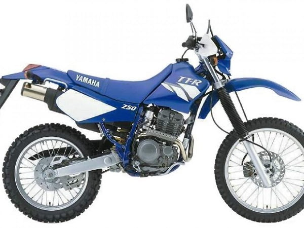 Manual Moto Yamaha TTR 250 L Reparación y Servicio