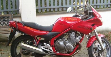 Manual Moto Yamaha XJ 600 S 1992 Reparación y Servicio