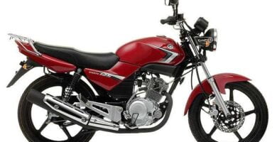 Manual Moto Yamaha YBR 125 2005 Reparación y Servicio