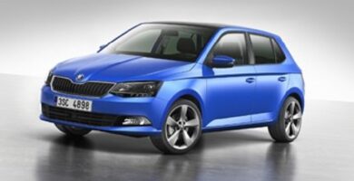 Diagramas Eléctricos Skoda Fabia 2014 Bandas de Tiempo y Distribución