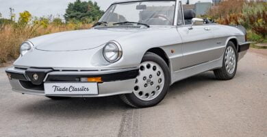 Manual Alfa Romeo Spider 1989 de Reparación Descarga PDF GRATIS