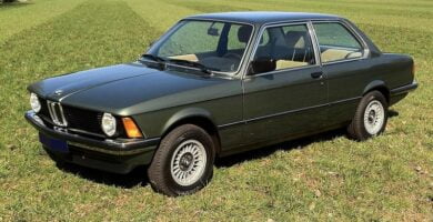 Manual PDF BMW Serie 3 1982 de Reparación DESCARGA GRATIS